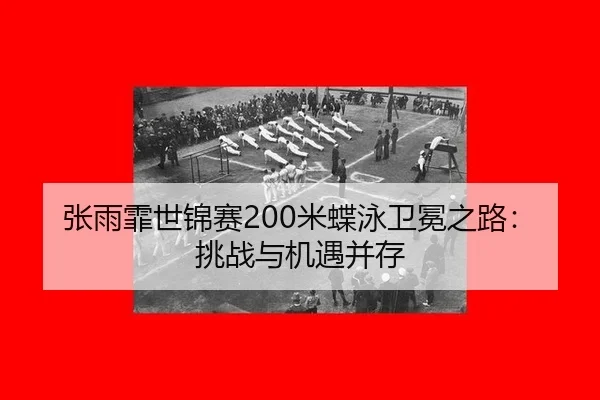 zhang-yu-fei-shi-jin-sai-mi-die-yong-wei-mian-zhi-lu-tiao-zhan-yu-ji-yu-bing-cun-2-348.jpg
