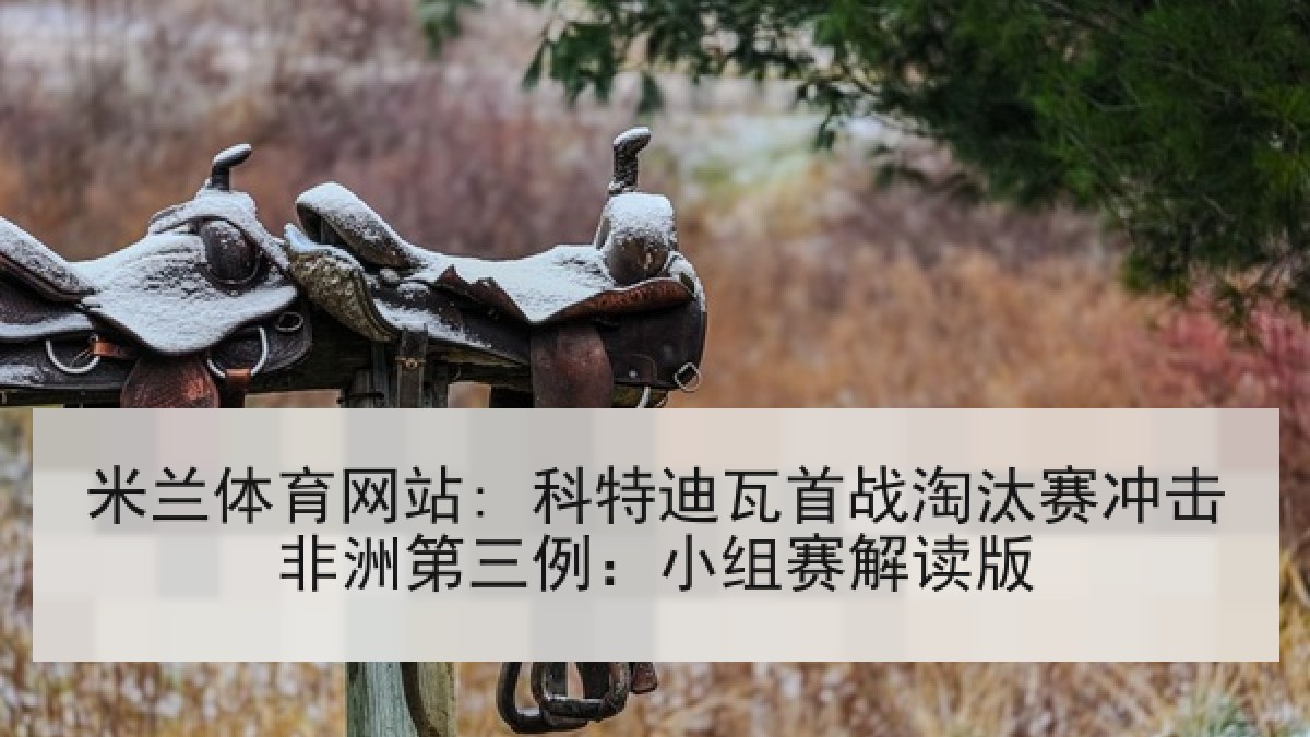 米兰体育网站: 科特迪瓦首战淘汰赛冲击非洲第三例：小组赛解读版