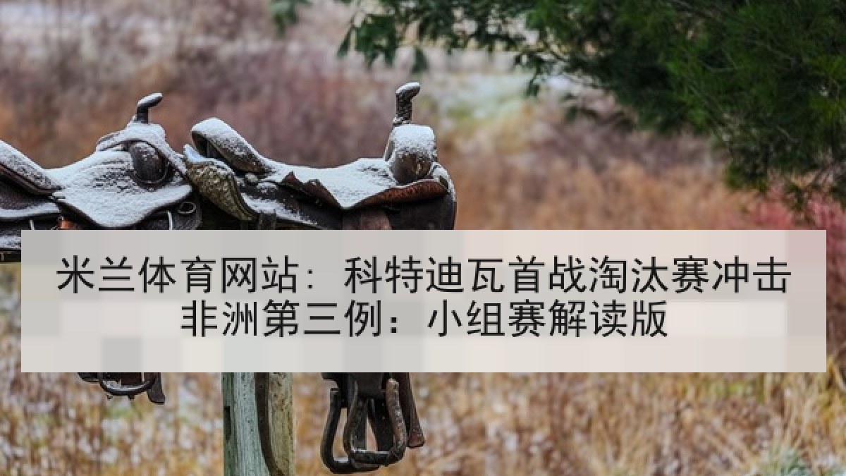 米兰体育网站: 科特迪瓦首战淘汰赛冲击非洲第三例：小组赛解读版