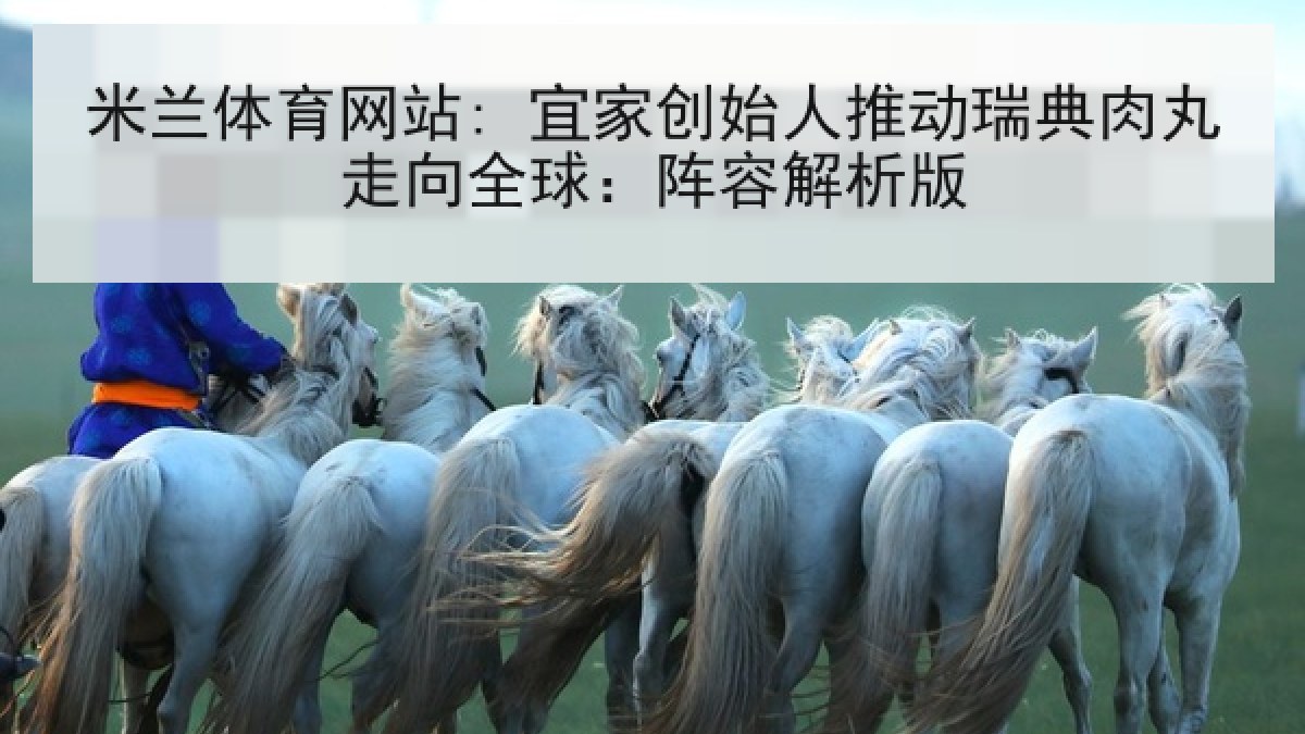 米兰体育网站: 宜家创始人推动瑞典肉丸走向全球：阵容解析版