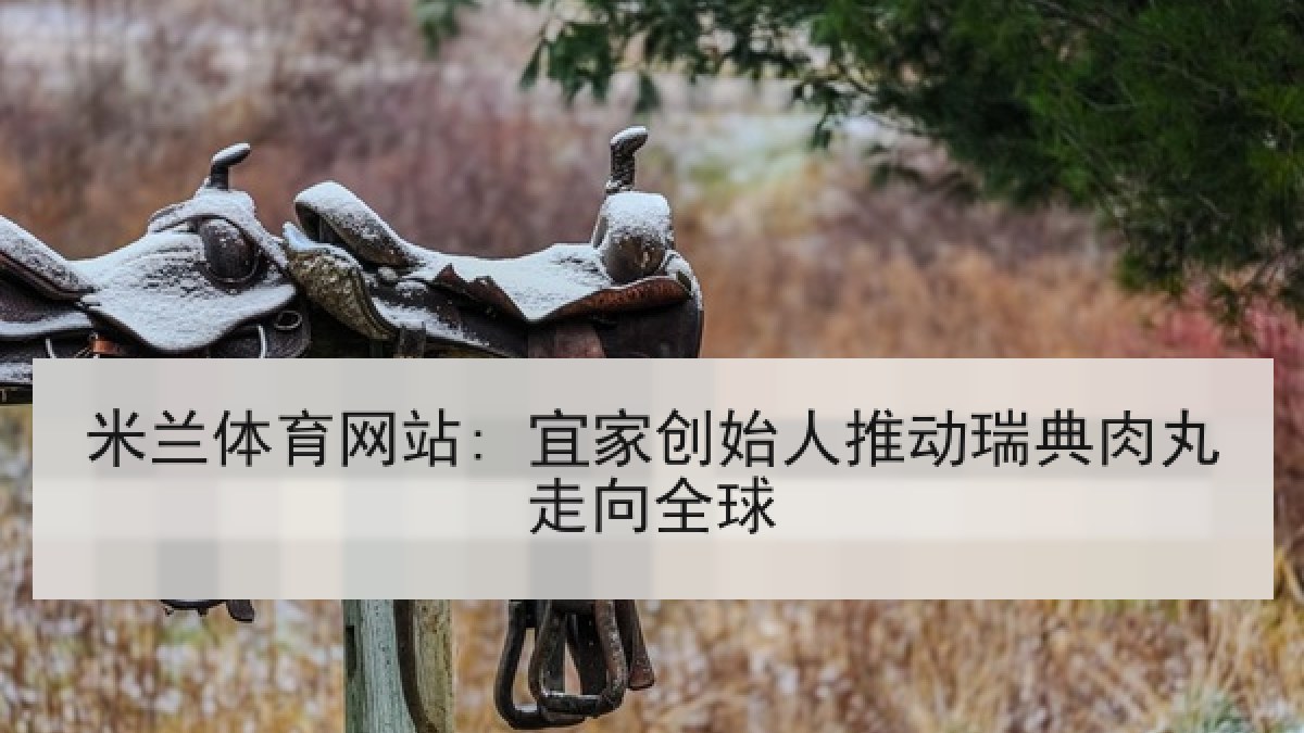 米兰体育网站: 宜家创始人推动瑞典肉丸走向全球