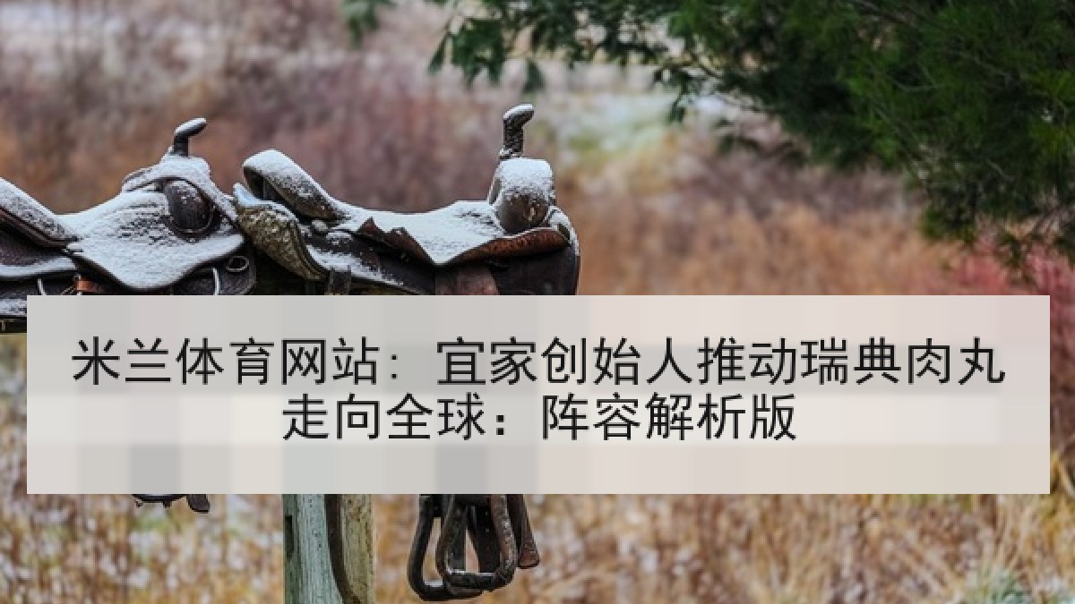 米兰体育网站: 宜家创始人推动瑞典肉丸走向全球：阵容解析版