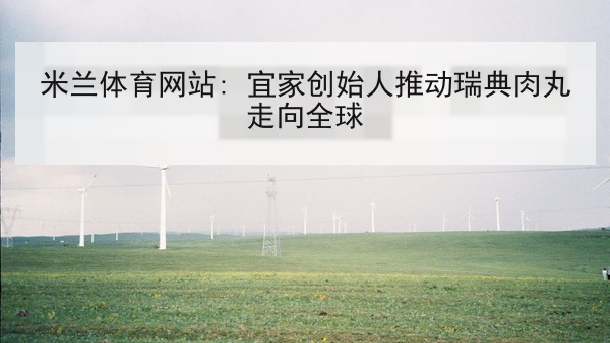 米兰体育网站: 宜家创始人推动瑞典肉丸走向全球