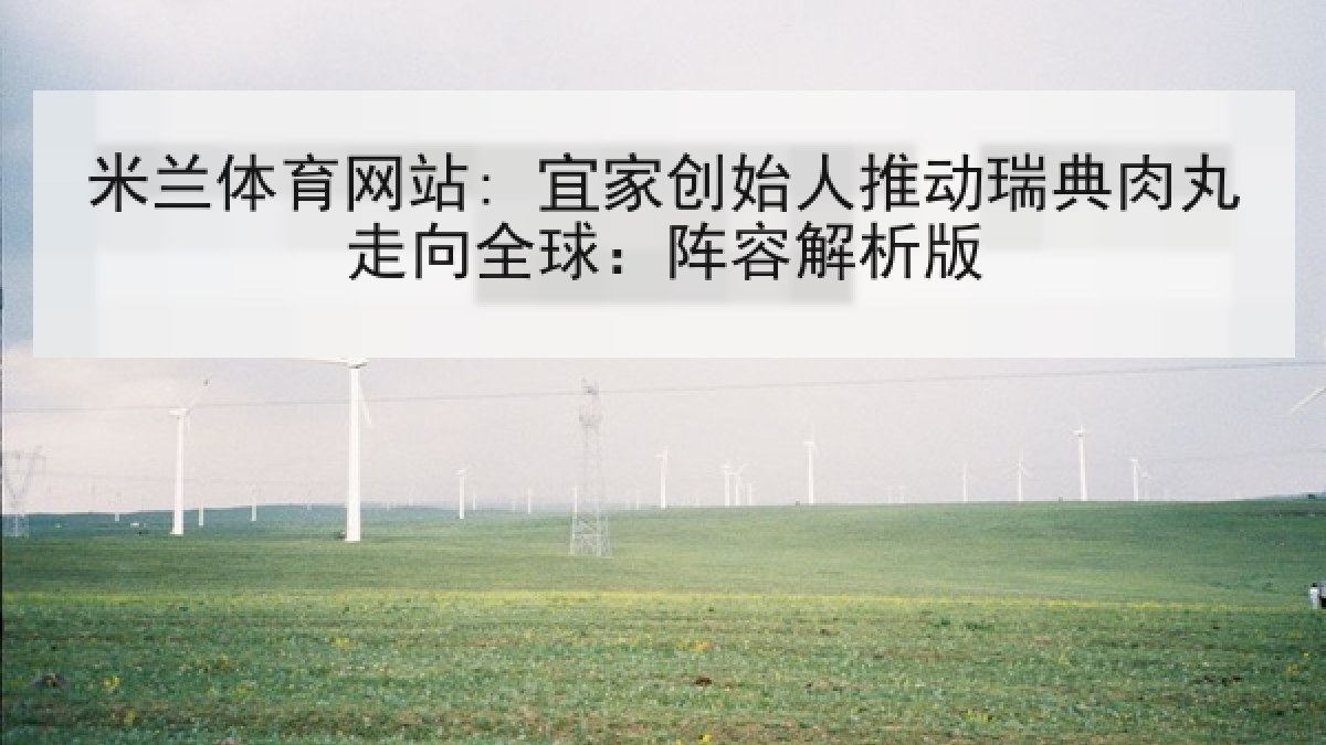米兰体育网站: 宜家创始人推动瑞典肉丸走向全球：阵容解析版
