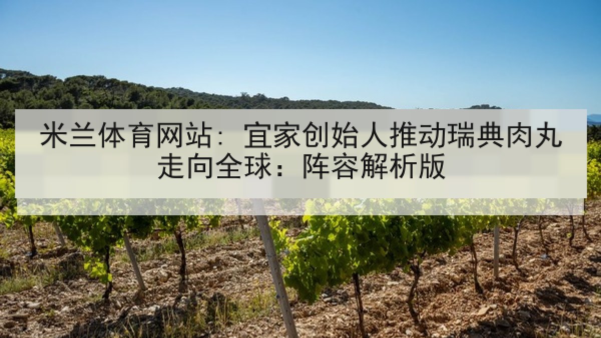 米兰体育网站: 宜家创始人推动瑞典肉丸走向全球：阵容解析版