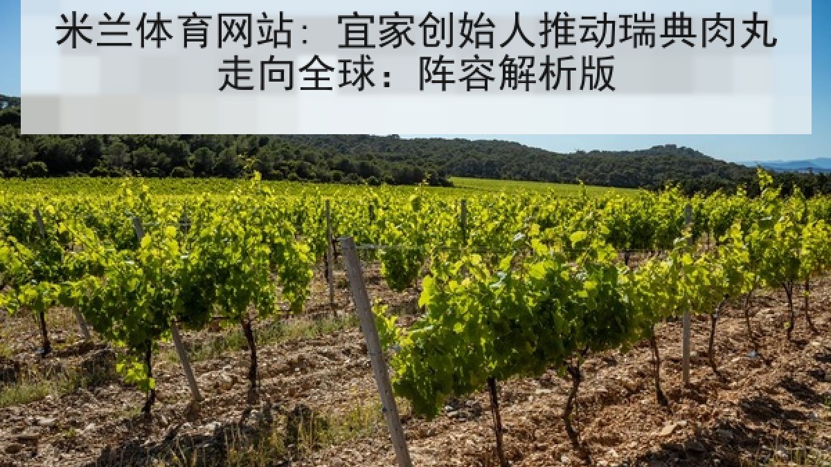 米兰体育网站: 宜家创始人推动瑞典肉丸走向全球：阵容解析版