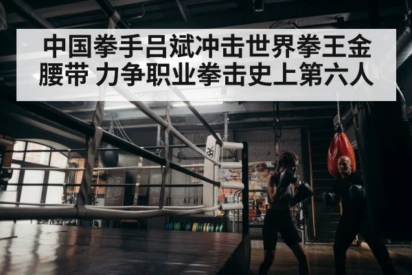 boxer training